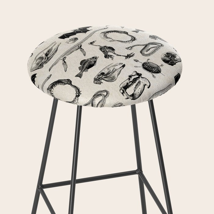 Animal Bones Stool Gallery Image 2