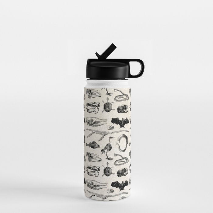 Animal Bones Water Bottle Gallery Image 1