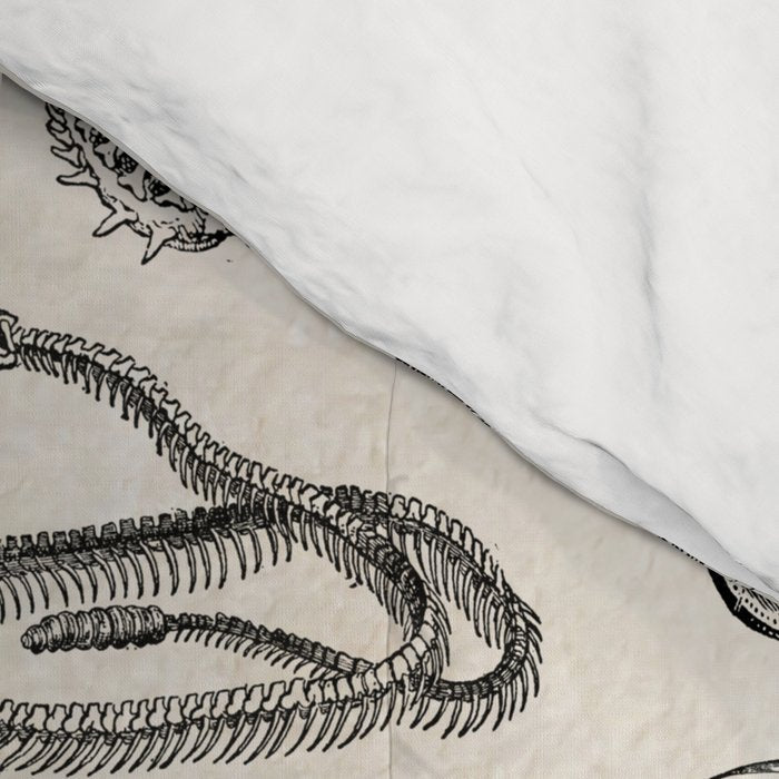 Animal Bones Comforter Gallery Image 4