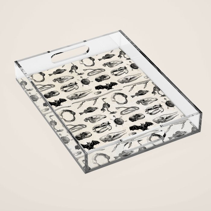 Animal Bones Acrylic Tray Gallery Image 1