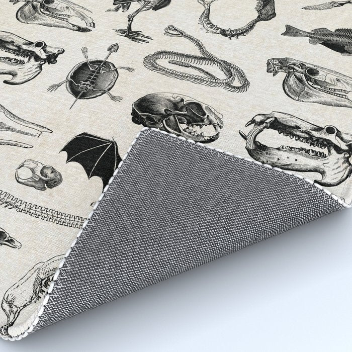 Animal Bones Rug Gallery Image 4