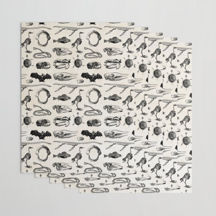 Animal Bones Wrapping Paper Gallery Image 3