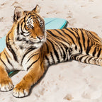 Tiger's Surf Beach Coffee Mug Gallery Image 2