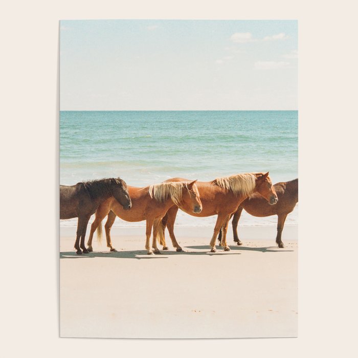 Summer Beach Horses Poster Gallery Image 4