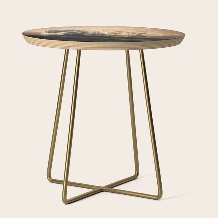 Disco Ball Champagne Celebration Glam Photography  Side Table Gallery Image 1