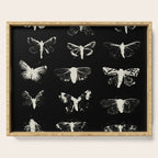 moths Serving Tray Gallery Image 1