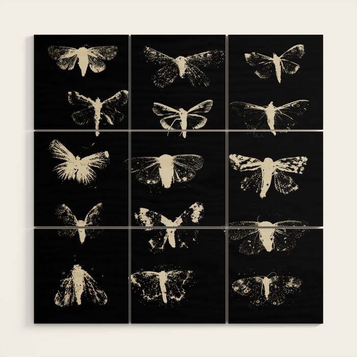 moths Wood Wall Art Gallery Image 1