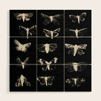 moths Wood Wall Art Gallery Image 1