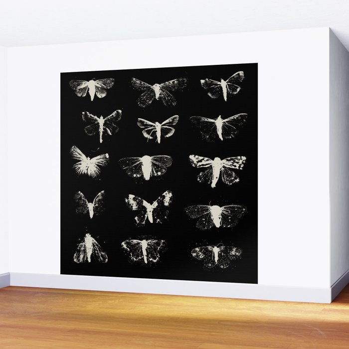 moths Wall Mural Gallery Image 2