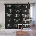 moths Wall Mural Gallery Image 1