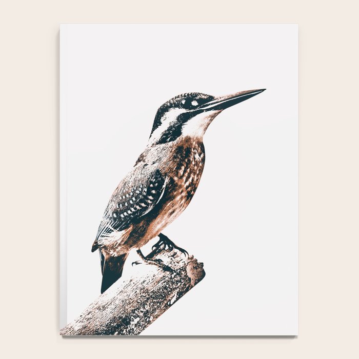 BIRD Notebook Gallery Image 4