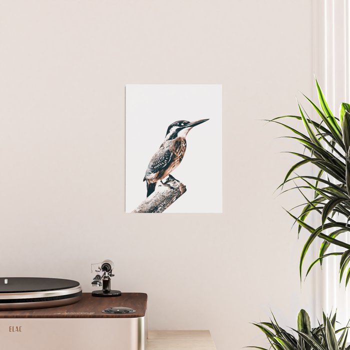 BIRD Poster Gallery Image 2