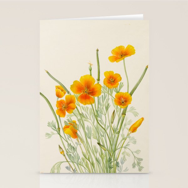 Mexican Poppy Vintage Botanical Print Stationery Card Gallery Image 2