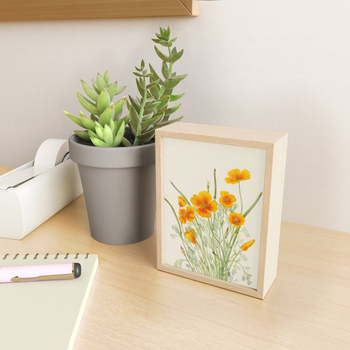 Mexican Poppy Vintage Botanical Print Mini Art Print Gallery Image 2