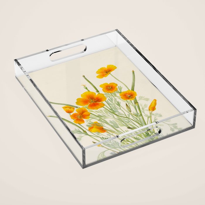 Mexican Poppy Vintage Botanical Print Acrylic Tray Gallery Image 1