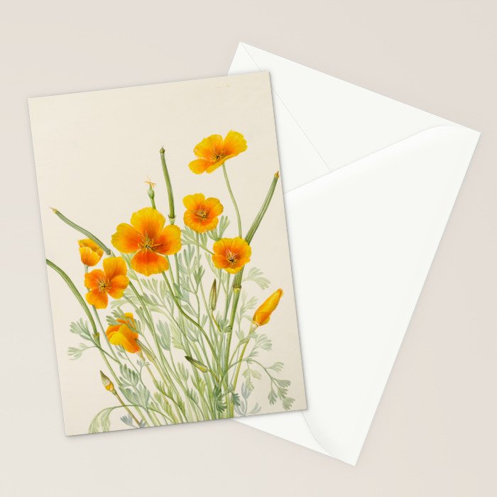 Mexican Poppy Vintage Botanical Print Stationery Card Gallery Image 2