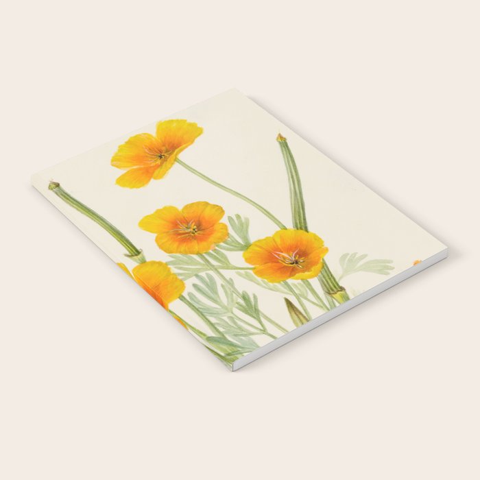 Mexican Poppy Vintage Botanical Print Notebook Gallery Image 1