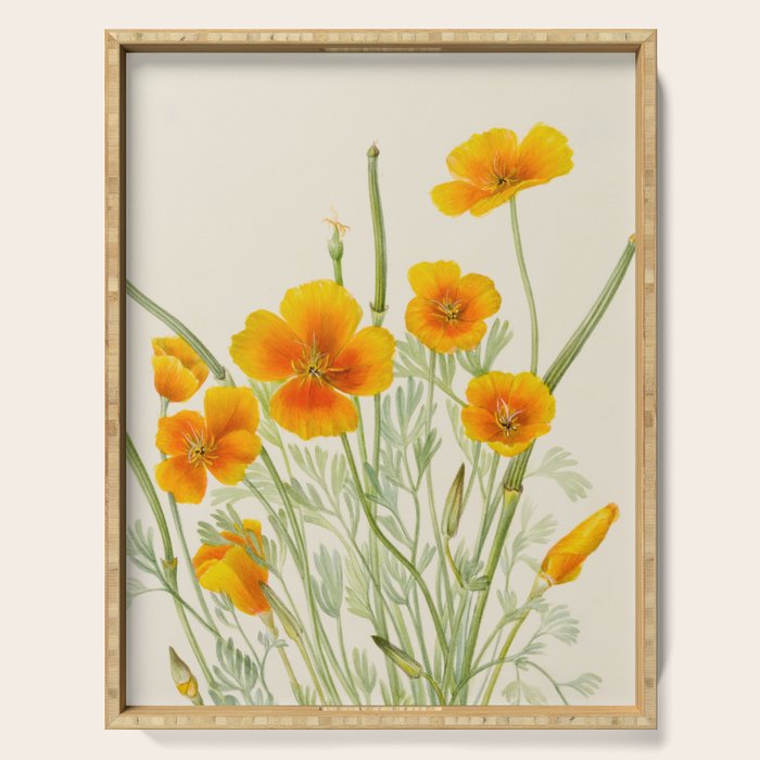 Mexican Poppy Vintage Botanical Print Serving Tray Gallery Image 1