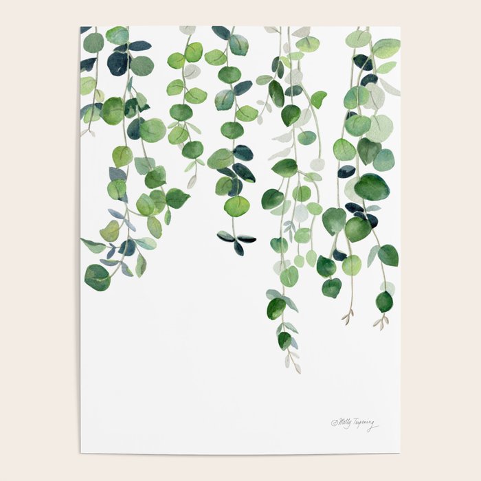 Eucalyptus Watercolor 2  Poster Gallery Image 1