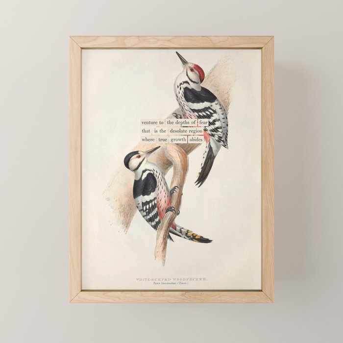 White-rumped Woodpecker Divination from # An Almanac of Birds # Divinations for Uncertain Days Mini Art Print Gallery Image 1