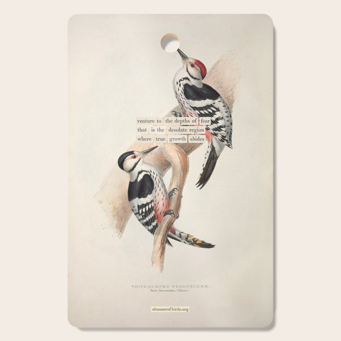 White-rumped Woodpecker Divination from # An Almanac of Birds # Divinations for Uncertain Days Cutting Board Gallery Image 1
