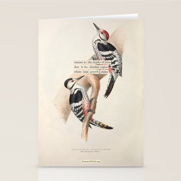 White-rumped Woodpecker Divination from # An Almanac of Birds # Divinations for Uncertain Days Stationery Card Gallery Image 2