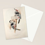 White-rumped Woodpecker Divination from # An Almanac of Birds # Divinations for Uncertain Days Stationery Card Gallery Image 2
