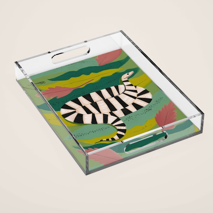 Striped Snake Acrylic Tray Gallery Image 1