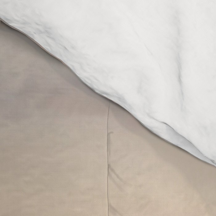 Speechless Comforter Gallery Image 4
