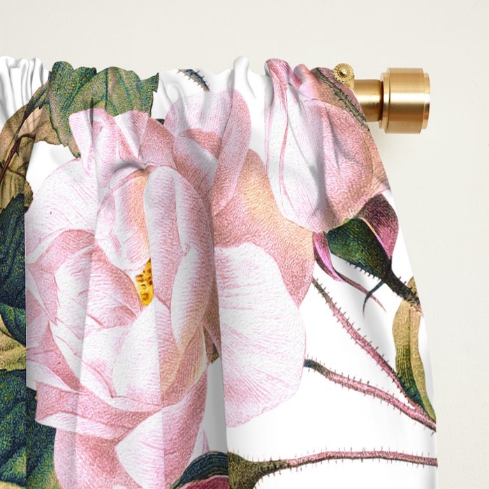 Rose Garden VII Window Curtain Gallery Image 2