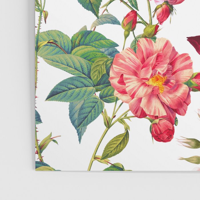 Rose Garden VII Poster Gallery Image 3