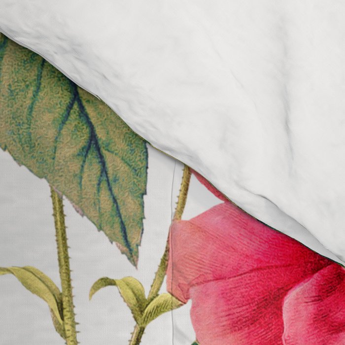 Rose Garden VII Comforter Gallery Image 4