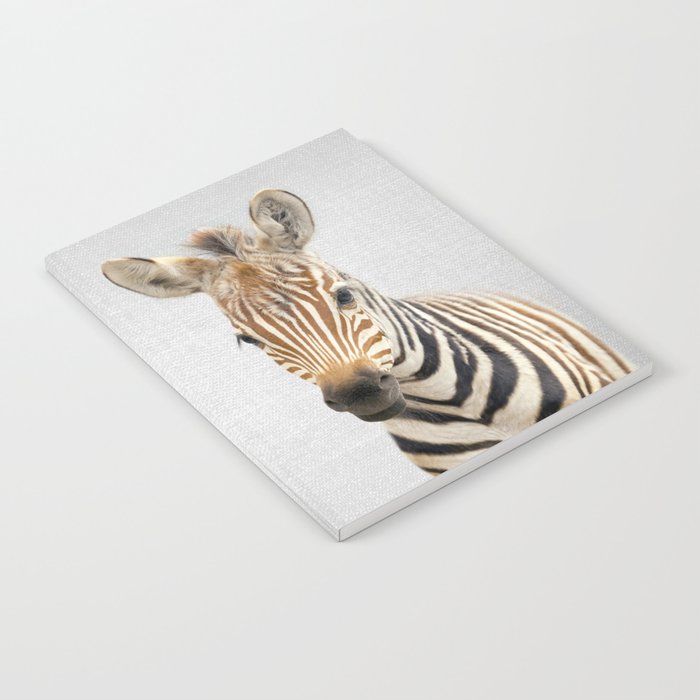 Baby Zebra - Colorful Notebook Gallery Image 2