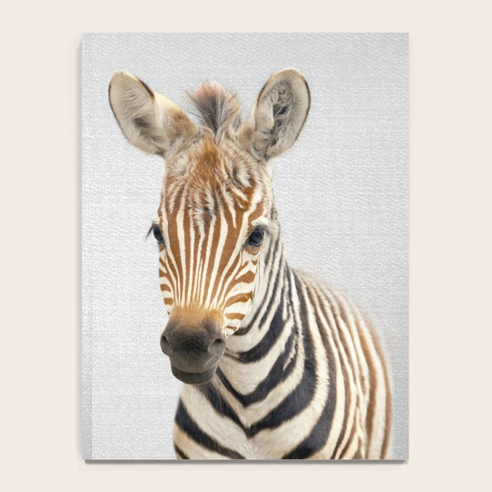 Baby Zebra - Colorful Notebook Gallery Image 4