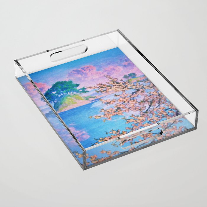 A Closer Look at Kukuyediyo (Series IV of IV) - Nature Landscape Acrylic Tray Gallery Image 1