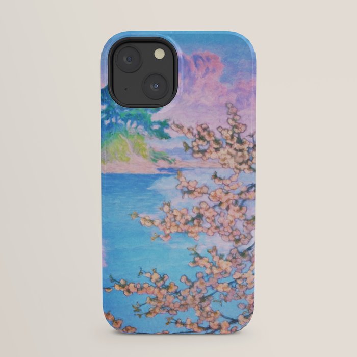 A Closer Look at Kukuyediyo (Series IV of IV) - Nature Landscape iPhone Case Gallery Image 29