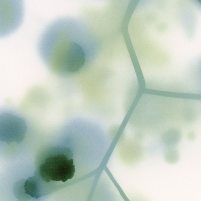 Sage Green Soft Botanical Coffee Mug Gallery Image 2