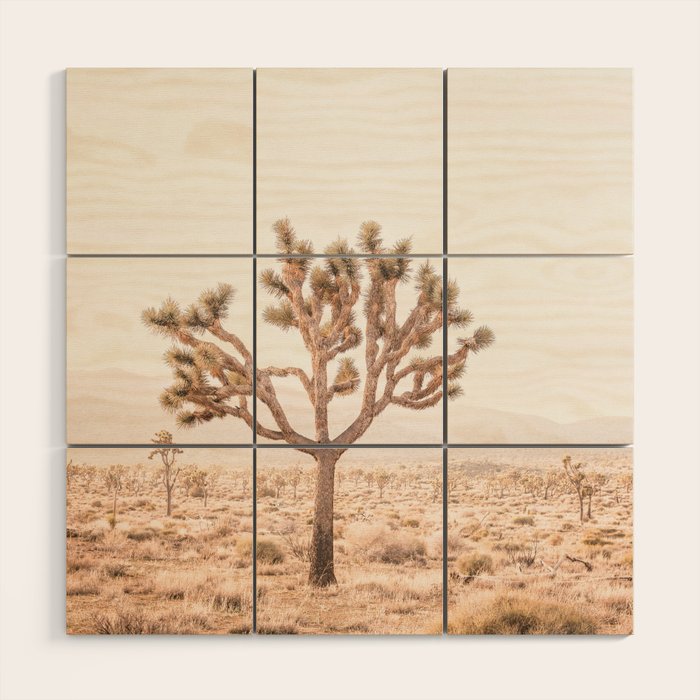 Yucca Wood Wall Art Gallery Image 1