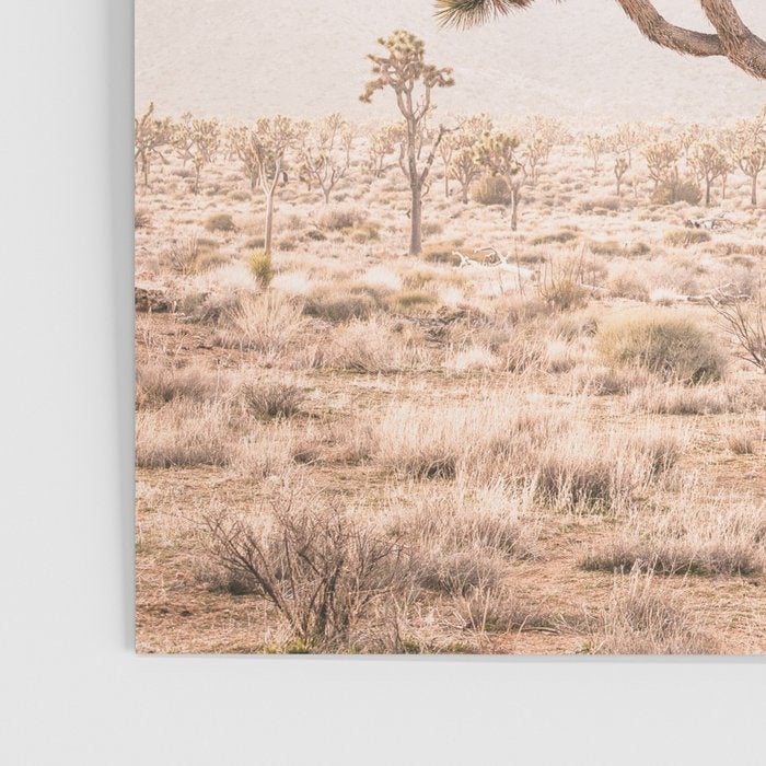 Yucca Poster Gallery Image 3