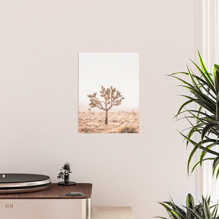 Yucca Poster Gallery Image 2