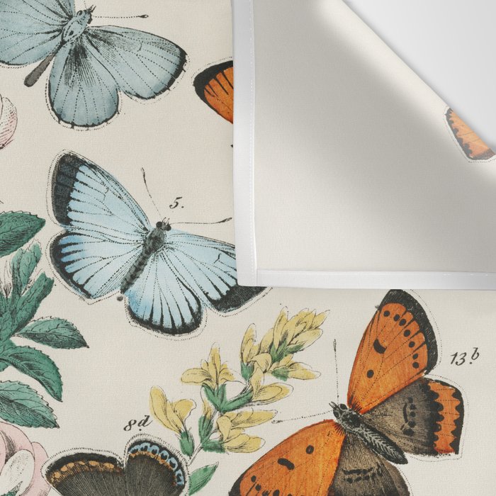 Vintage Scientific Illustration Butterfly Botanical Floral Lithograph Encyclopaedia Diagrams  Wall Tapestry Gallery Image 3