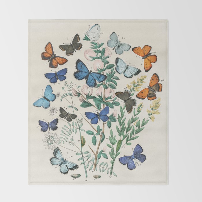 Vintage Scientific Illustration Butterfly Botanical Floral Lithograph Encyclopaedia Diagrams  Throw Blanket Gallery Image 2