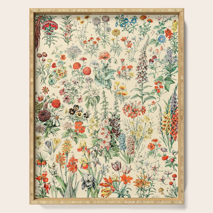 Wildflower Diagram // Fleurs II by Adolphe Millot XL 19th Century Science Textbook Artwork Serving Tray Gallery Image 1