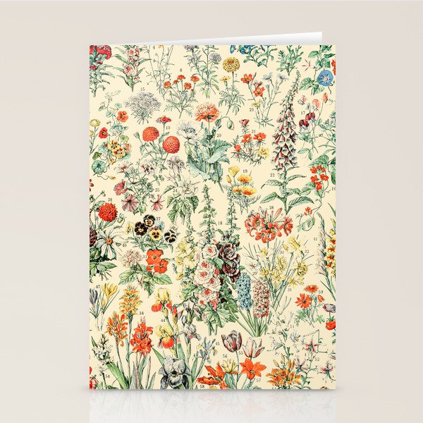 Wildflower Diagram // Fleurs II by Adolphe Millot XL 19th Century Science Textbook Artwork Stationery Card Gallery Image 2