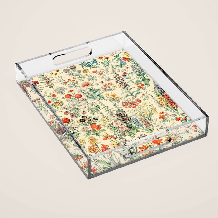 Wildflower Diagram // Fleurs II by Adolphe Millot XL 19th Century Science Textbook Artwork Acrylic Tray Gallery Image 1