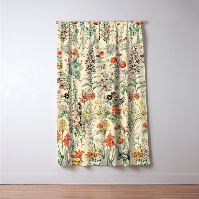 Wildflower Diagram // Fleurs II by Adolphe Millot XL 19th Century Science Textbook Artwork Window Curtain Gallery Image 3