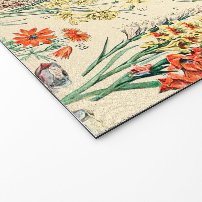 Wildflower Diagram // Fleurs II by Adolphe Millot XL 19th Century Science Textbook Artwork Welcome Mat Gallery Image 2