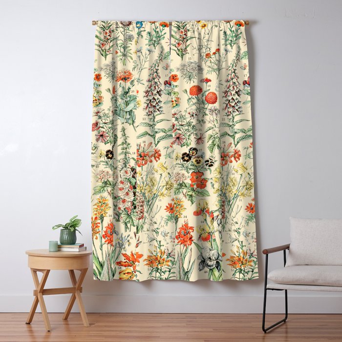 Wildflower Diagram // Fleurs II by Adolphe Millot XL 19th Century Science Textbook Artwork Window Curtain Gallery Image 5
