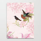 Vintage & Shabby Chic - Blush Tropical Hummingbird Flower Garden Notebook Gallery Image 4