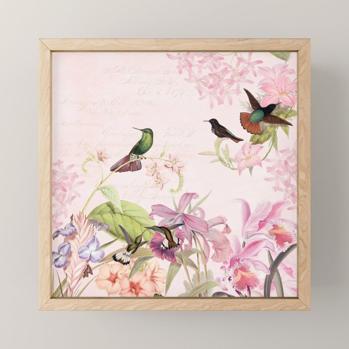 Vintage & Shabby Chic - Blush Tropical Hummingbird Flower Garden Mini Art Print Gallery Image 1
